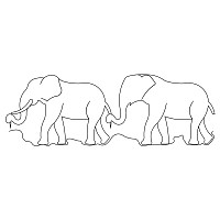 elephant border 002